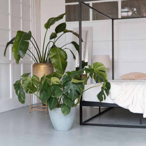 GardenZone_male-18